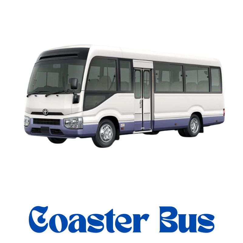Coaster Buses1