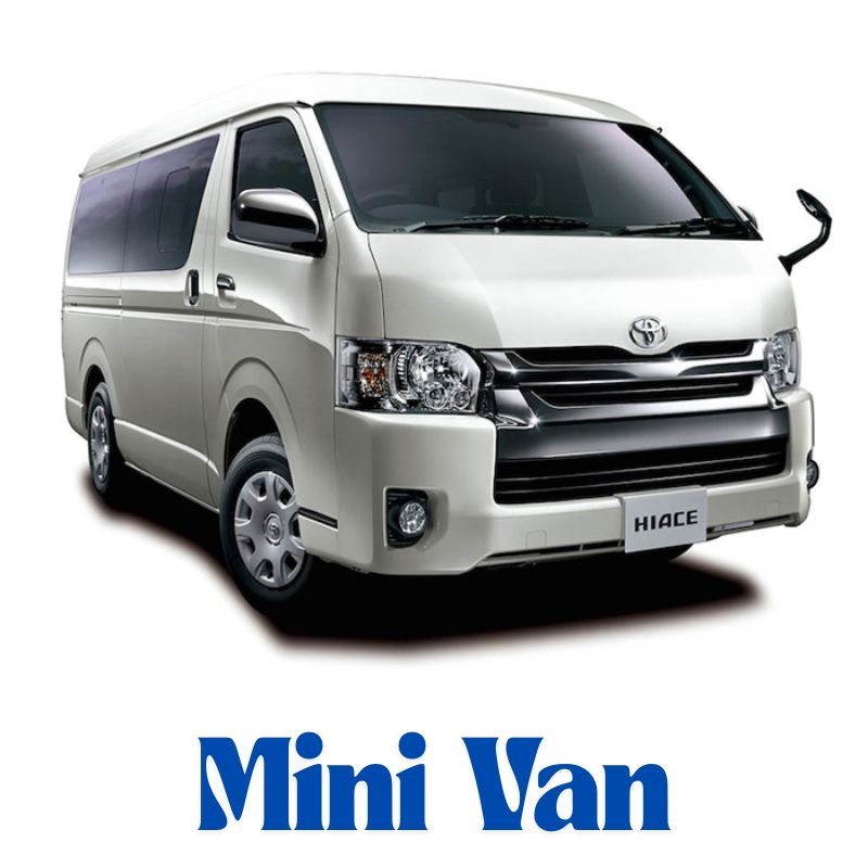 Mini Vans1
